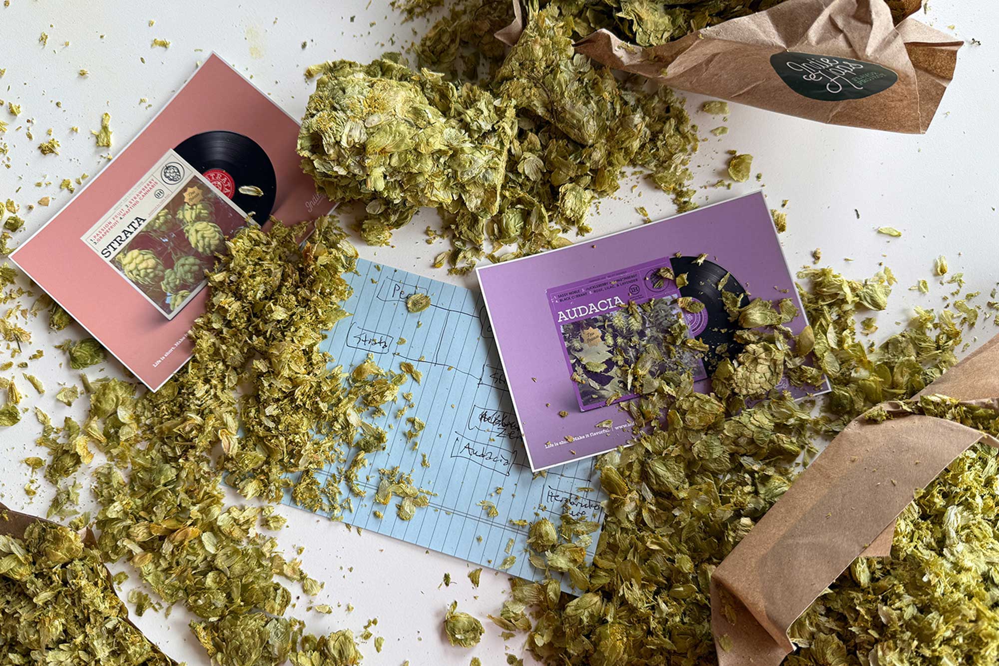 Strata’s Nephew Is a (Literal) Stud