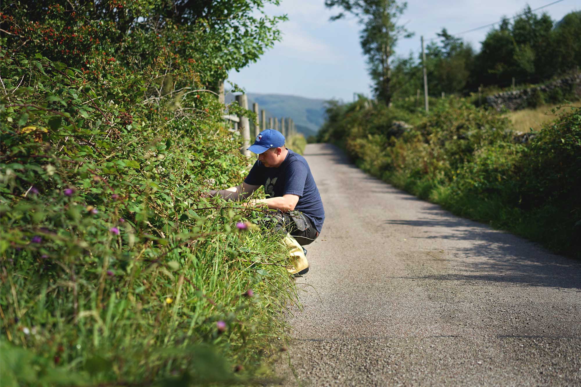 Of Monsters & Men: The Origins of Wine Chimeras
