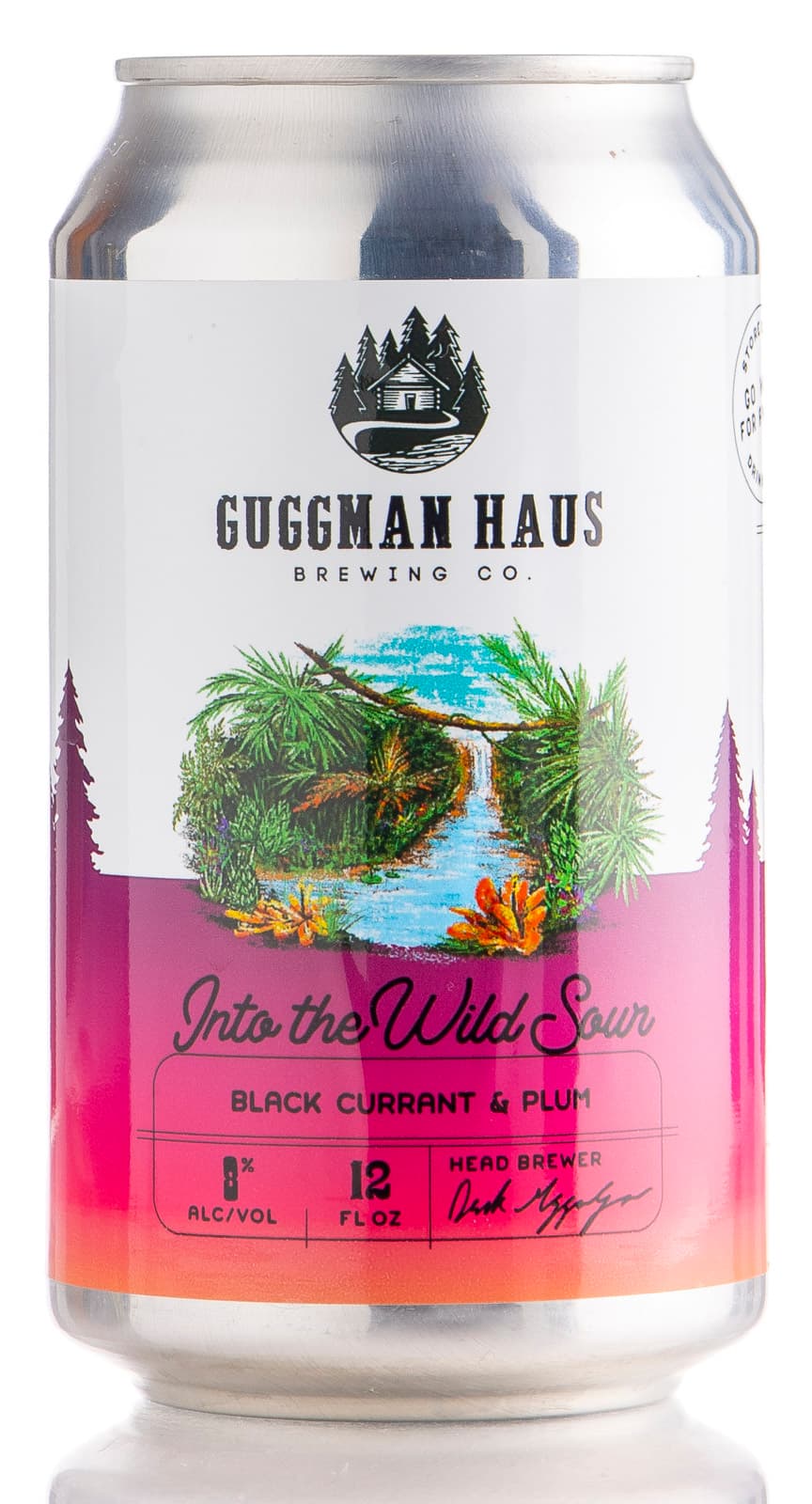 Into the Wild Sour - Black Currant Plum