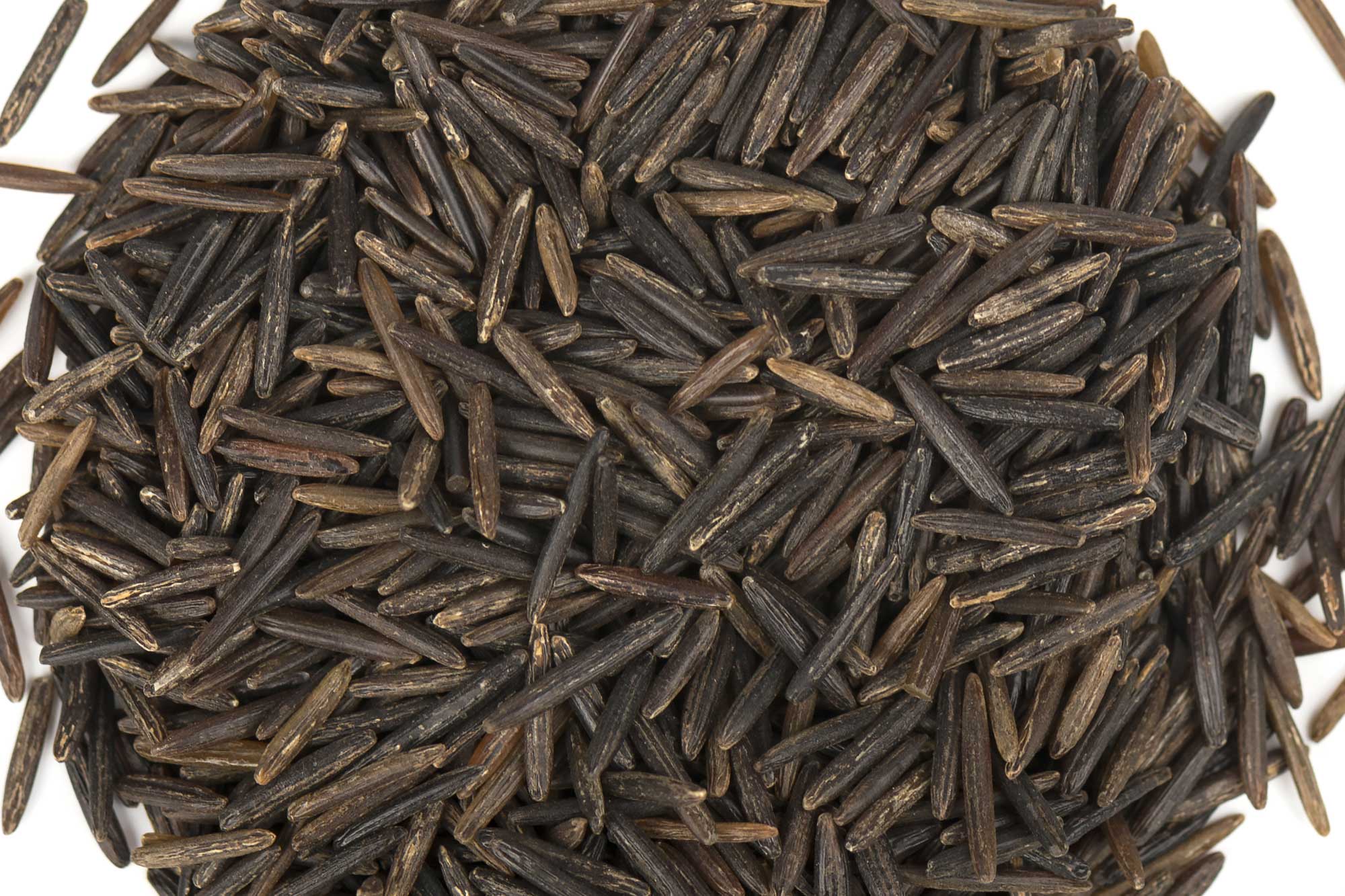 Brewing with Wild Rice, an American Grain