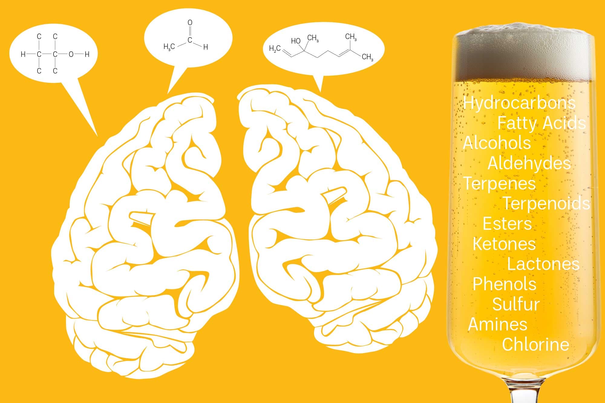 How to Speak Beer’s Chemical Language
