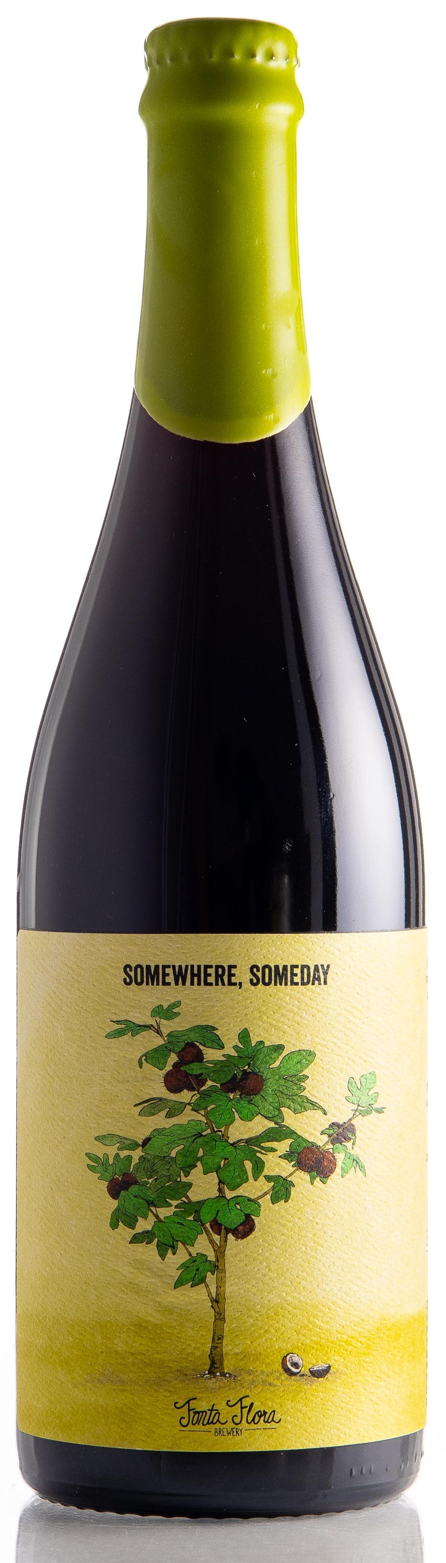 Somewhere, Someday
