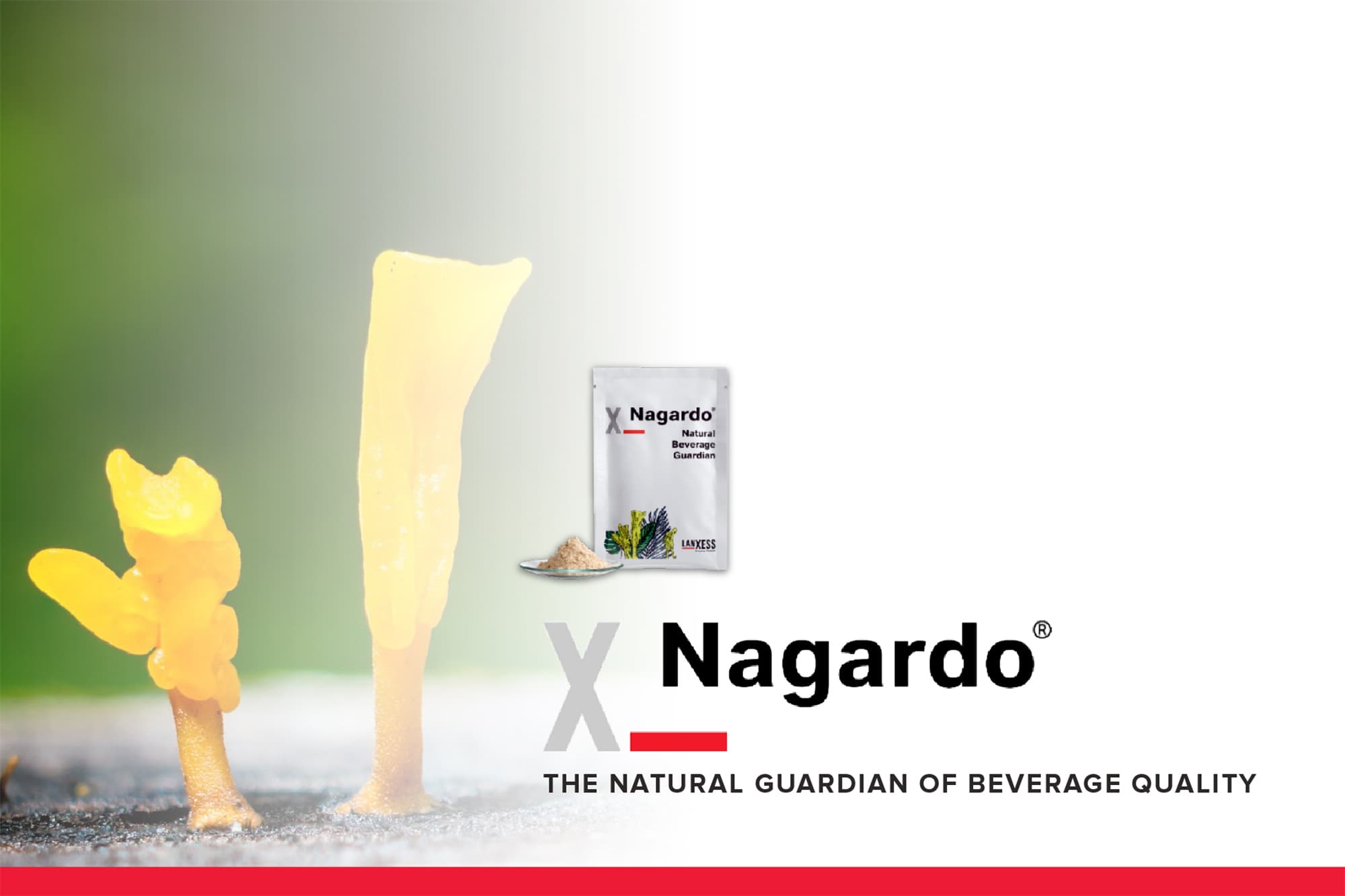 Introducing Nagardo: A Revolutionary New, Natural Microbial Control Agent
