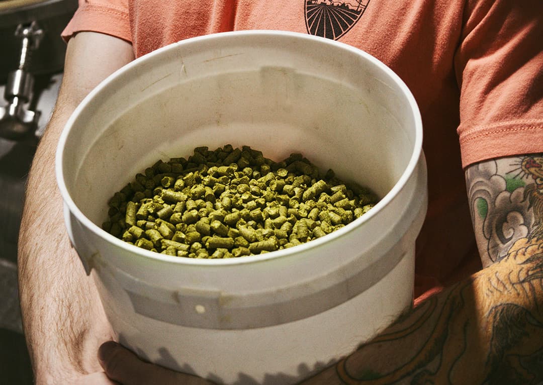 The Evolving Joy of Craft Beer & Hops