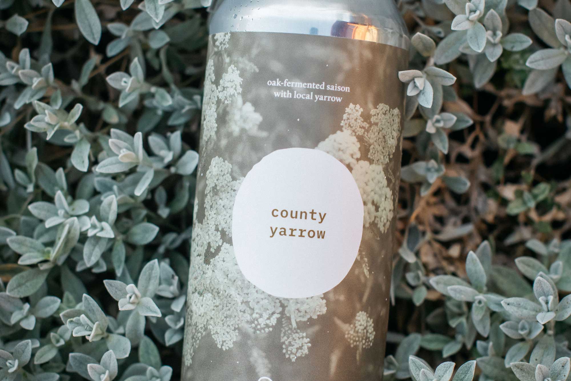 Recipe: Sway County Yarrow Saison