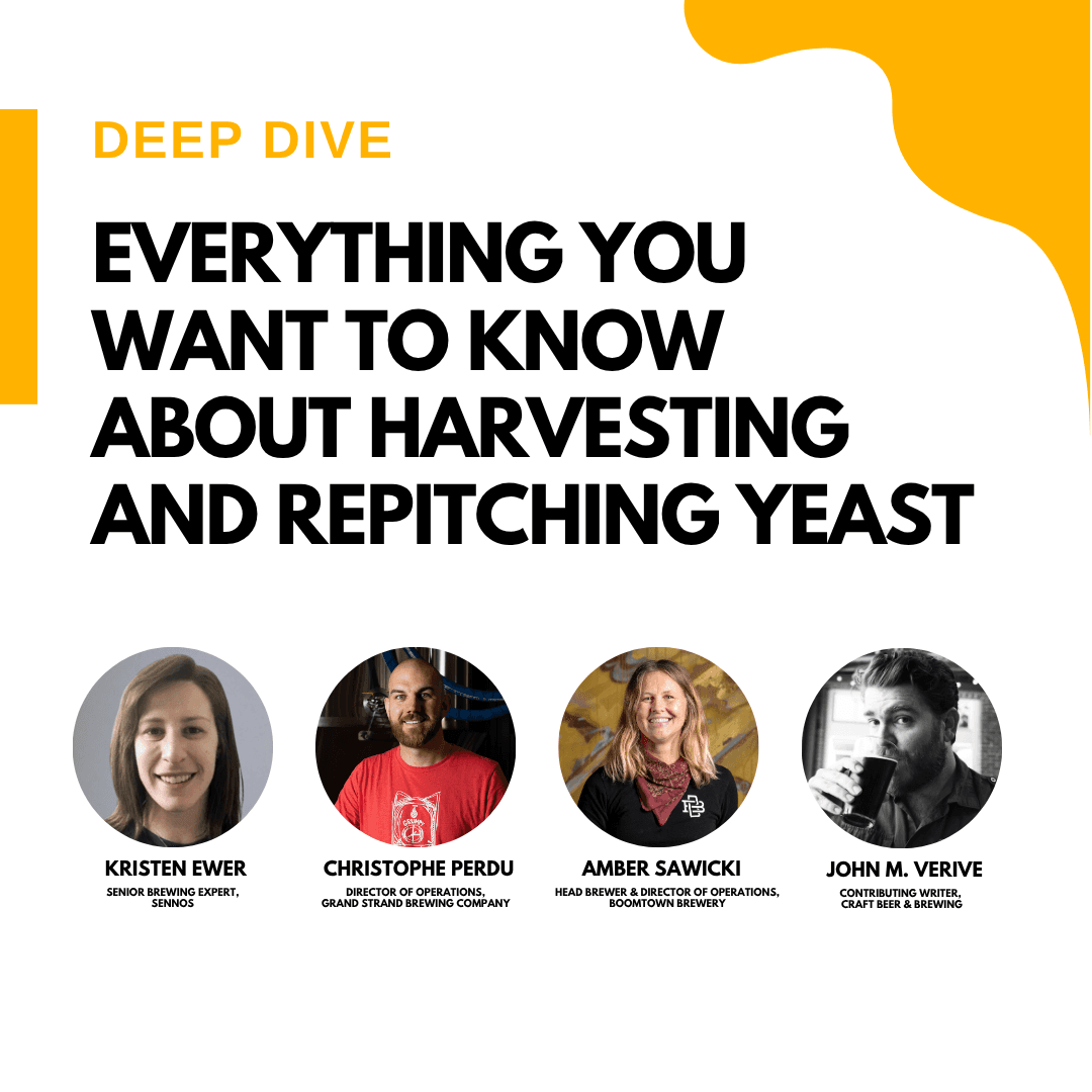 Everything You Want to Know About Harvesting and Repitching Yeast